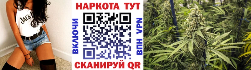 Где купить Нововоронеж АМФ  A-PVP  Меф  Каннабис  ГАШИШ 