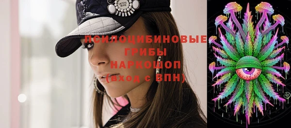 мдпв Армянск
