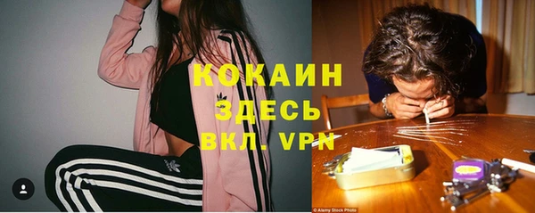 mdpv Арсеньев