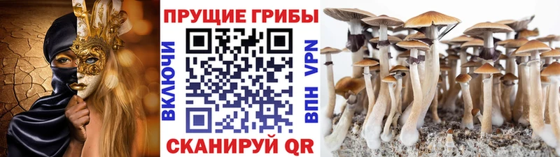 Галлюциногенные грибы прущие грибы  где найти   Нововоронеж 